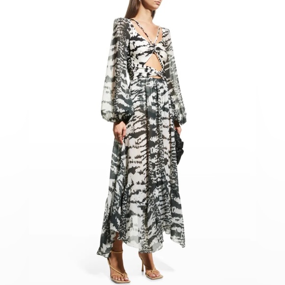 Patbo + Alessandra Ambrosio Cutout Zebra-Print Stretch Dress XS - NWT - Picture 3 of 3